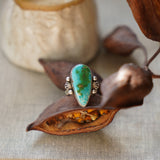 Creosote Ring in Sonoran Mountain Turquoise (size 8.5)