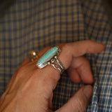 Creosote Ring in Sonoran Mountain Turquoise (size 8)