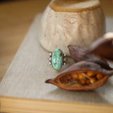 Creosote Ring in Sonoran Mountain Turquoise (size 6.5)