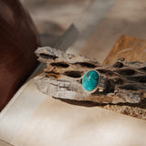 Ring in Kingman Turquoise (Size 8.25)