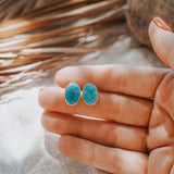 Stud Earrings in Sonoran Mtn Turquoise