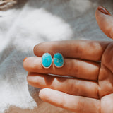 Stud Earrings in Sonoran Mtn Turquoise