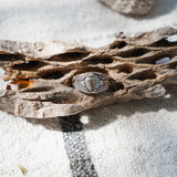 Scarab Ring (Choose your metal and size)