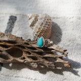 Campitos Turquoise Ring (Size 8.5)