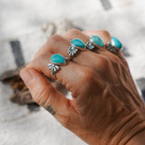 Campitos Turquoise Ring (Size 8.5)