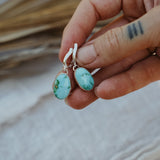 Horseshoe Drops in Turquoise Mountain