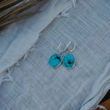 Horseshoe Drops in Sonoran Gem Turquoise