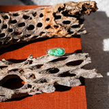 Horizontal Ring in Emerald Valley Turquoise (Size 6)