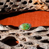 Horizontal Ring in Emerald Valley Turquoise (Size 7.5)