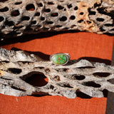Horizontal Ring in Emerald Valley Turquoise (Size 7.5)
