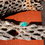 Horizontal Ring in Emerald Valley Turquoise (Size 7)