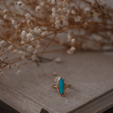 The Halo Edge Ring in 14k Gold-fill w/ Campitos Turquoise (Size 9.5)