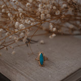 The Halo Edge Ring in 14k Gold-fill w/ Campitos Turquoise (Size 6.75)