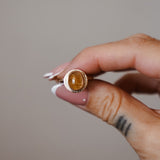 The Golden Sun Ring in Rutilated Quartz (Size 8.25)