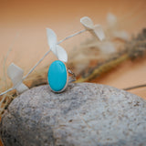 Campitos Turquoise Ring (Size 9)