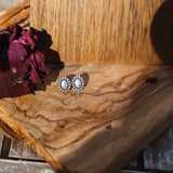 The Sterling Bubble Studs