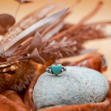 The Turquoise Lover's Ring in Campitos & Carico Lake Turquoise (Size 9.5)