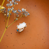 Rainbow Moonstone Ring with Lone Mtn Turquoise (Size 7)