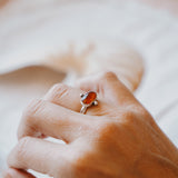 Dollop Ring in Red Kyanite (Size 6)