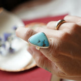 Oasis Ring in Golden Hills (Size 8)