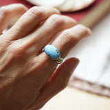 Horizontal Ring in Golden Hills Turquoise (Size 8)