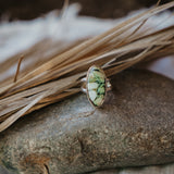 Traveler Ring in Hubei Turquoise (Size 6.5)