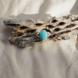 Campitos Turquoise Ring (Size 7.25)
