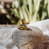 Horizontal Ring in Hubei Turquoise (Size 9)