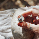 Wide Band Traveler Ring in Scenic Agate w/ 14k Gold-Fill Prong (Size 8.75)