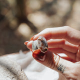 Wide Band Traveler Ring in Scenic Agate w/ 14k Gold-Fill Prong (Size 7.25)