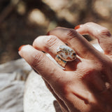Wide Band Traveler Ring in Scenic Agate w/ 14k Gold-Fill Prong (Size 7.25)