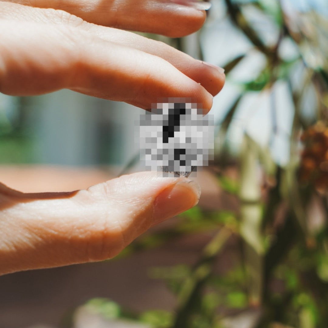 Cactus Club Mystery Bag - Golden Road Crafted