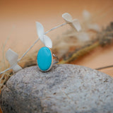 Campitos Turquoise Ring (Size 9) - Golden Road Crafted
