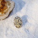 Dalmatian Jasper Ring (Size 9) - Golden Road Crafted