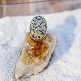 Dalmatian Jasper Ring (Size 9) - Golden Road Crafted