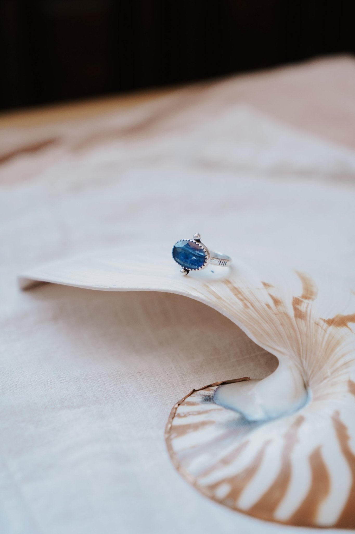 Dollop Ring in Blue Kyanite (Size 6) - Golden Road Crafted