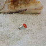 Ear Cuff in Spiny Oyster - Golden Road Crafted