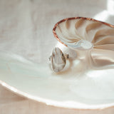 Lace Agate Ring (Size 7) - Golden Road Crafted