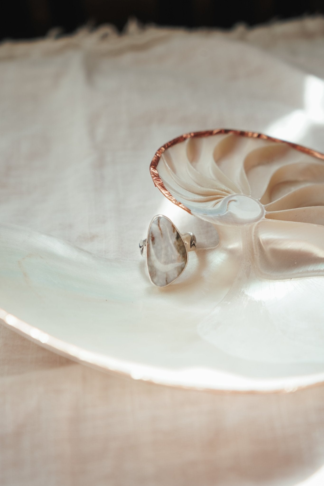 Lace Agate Ring (Size 7) - Golden Road Crafted