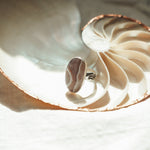Lace Agate Ring (Size 9) - Golden Road Crafted