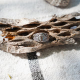 Scarab Ring - Golden Road Crafted