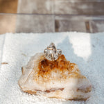 Scenic Agate Ring with Gold - Fill Prongs (Size 8) - Golden Road Crafted