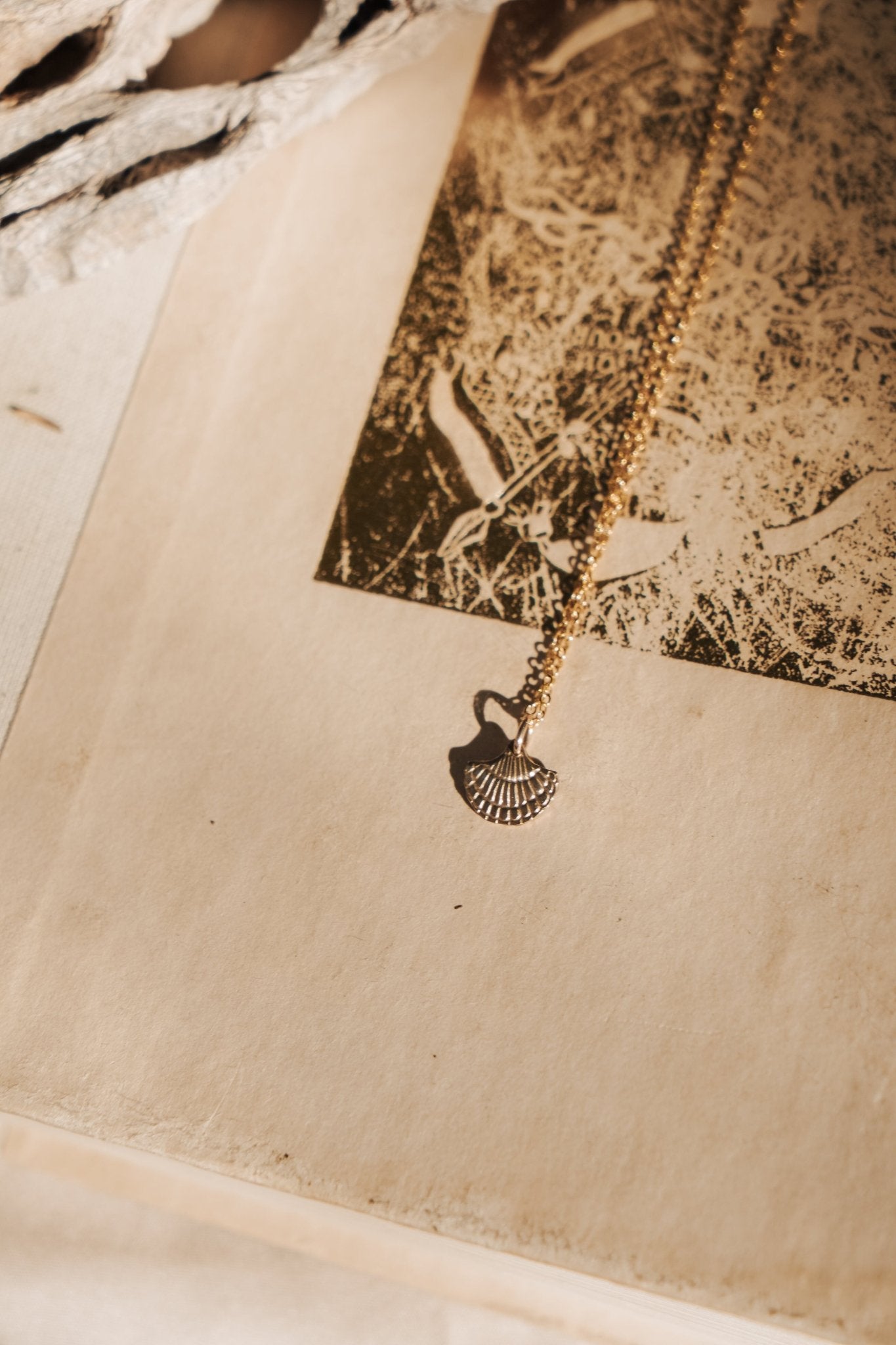 Shell Necklace in 14k Gold - Fill - Golden Road Crafted