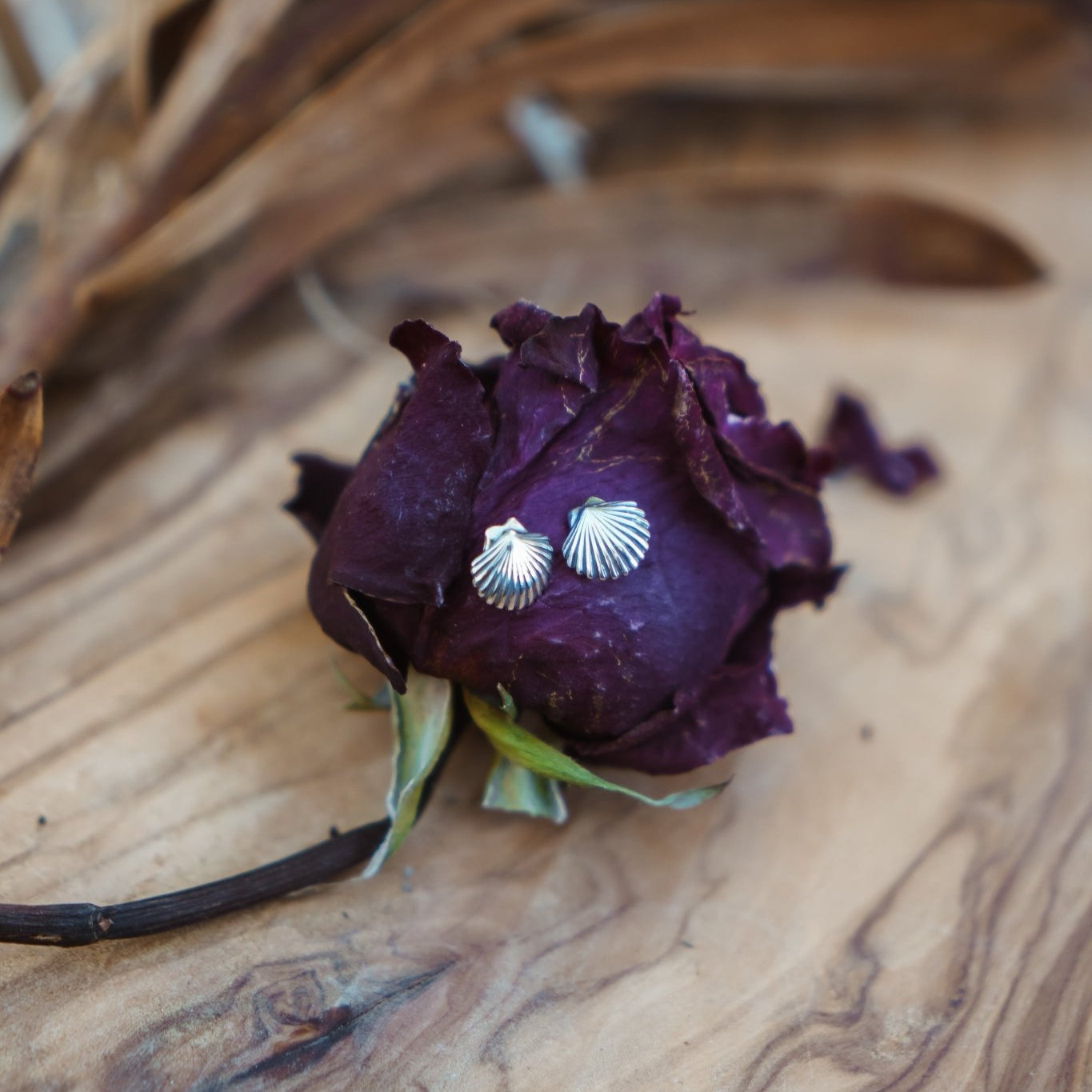 Shell Studs - Golden Road Crafted