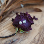 Shell Studs - Golden Road Crafted