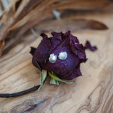 Shell Studs - Golden Road Crafted