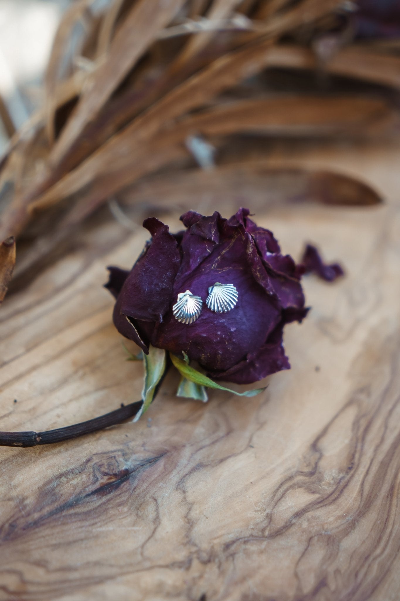 Shell Studs - Golden Road Crafted