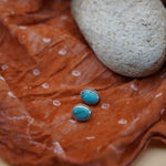 Stud Earrings in Egyptian Turquoise - Golden Road Crafted