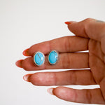 Stud Earrings in Egyptian Turquoise - Golden Road Crafted