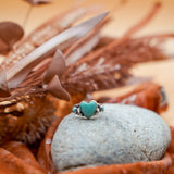 The Turquoise Lover's Ring in Campitos & Carico Lake Turquoise (Size 9.5) - Golden Road Crafted